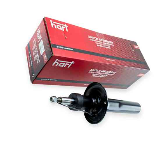 Амортизатор передний автомобилЬ Фольцваген Caddy III 04-, Passat B7, автомобиль Шкода Octavia A5 (d55) Мукачево