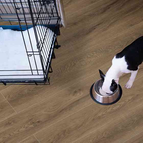 Кварц вінілова підлога SPC ламінат Porfloor Giza 15​ PRF 10381-15 (1220 мм*180 мм (4+1мм.)) 10шт./уп.=2,196 м2 Київ