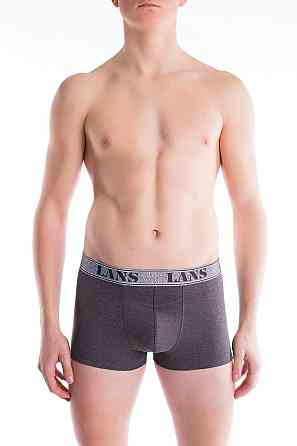 Трусы мужские шорты Lans 07/034 L, Коричневый Киев