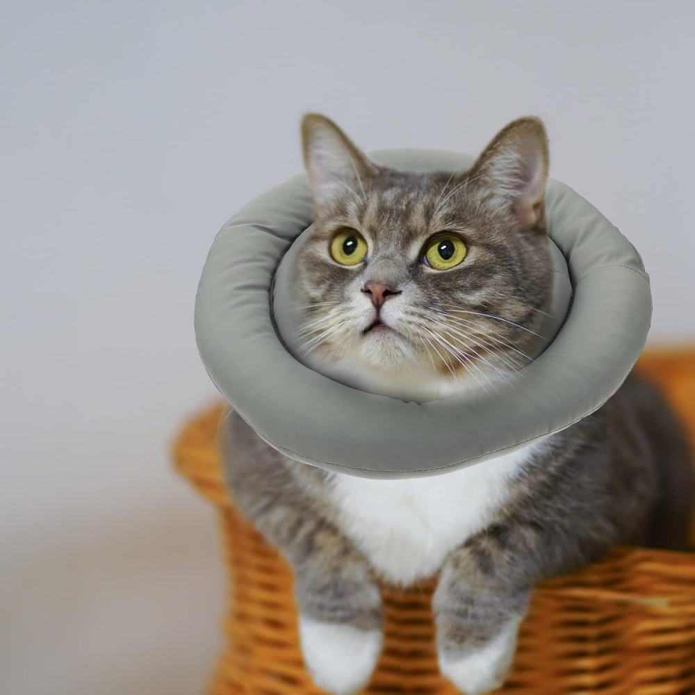 Захисний комір для домашнього улюбленця 25236 Луцк - изображение 1