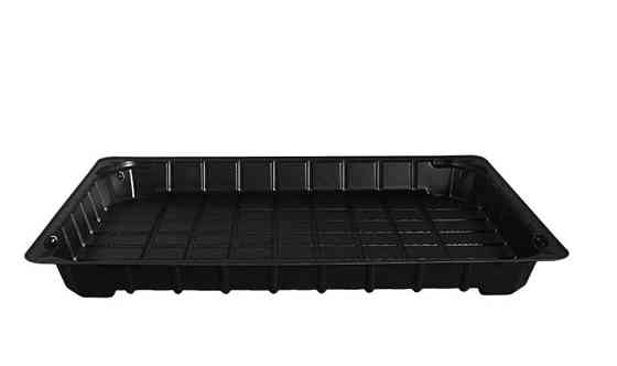 Блистер пищевой, упаковка для суши 225*150 мм с крышкой ПС-64 Павлоград