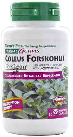 Форсколін Nature's Plus Coleus Forskohlii 125 мг 60 капсул Київ
