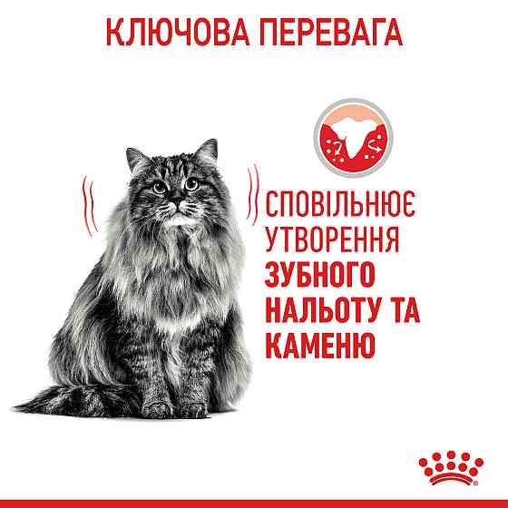 Корм для котів ROYAL CANIN DENTAL CARE 8 кг, для зменшення утворення зубного нальоту та каменю Київ