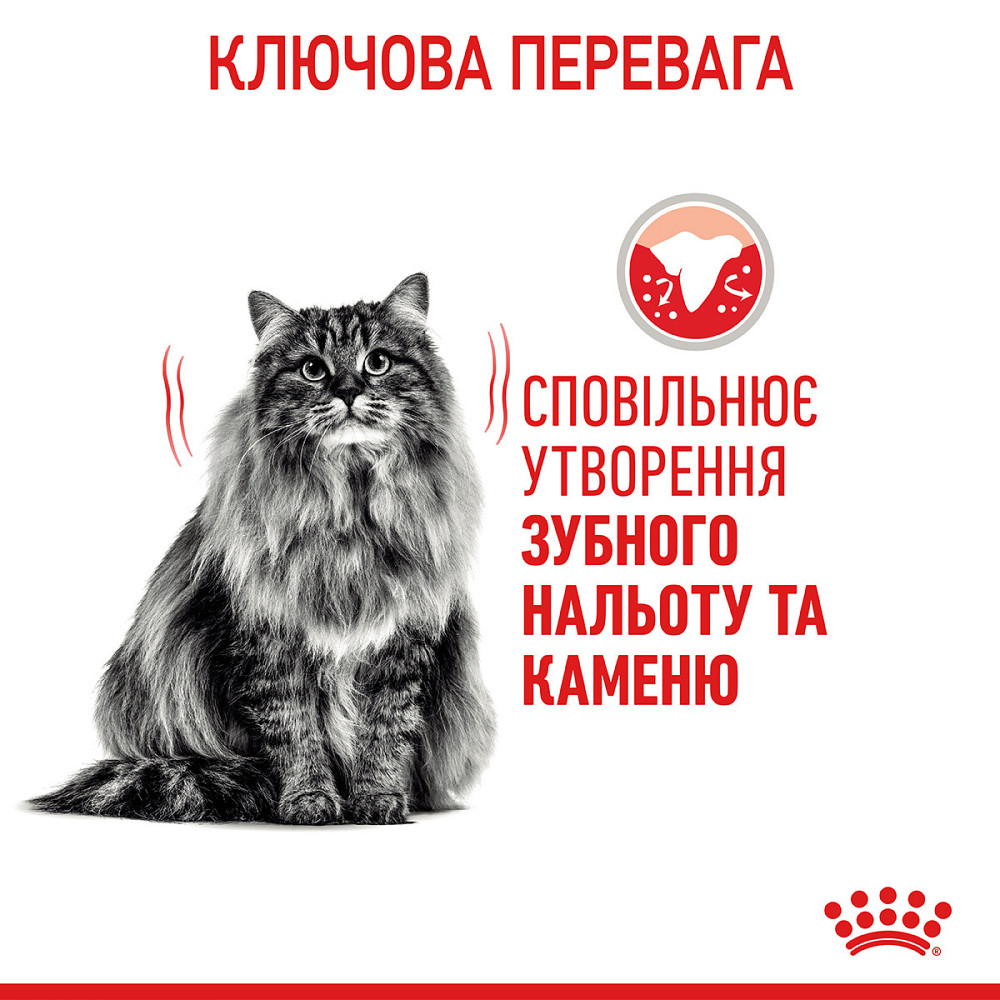 Корм для котів ROYAL CANIN DENTAL CARE 8 кг, для зменшення утворення зубного нальоту та каменю Київ - фото 5