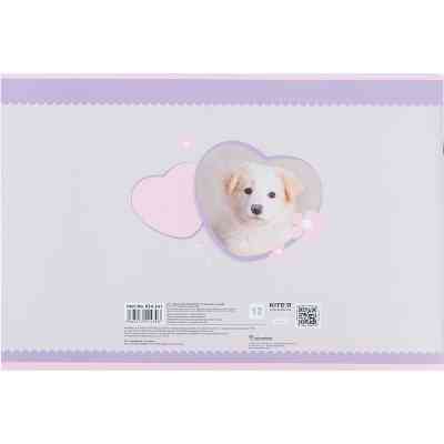 Альбом для рисования Kite Rachael Hale, 12 листов (R24-241) Винница