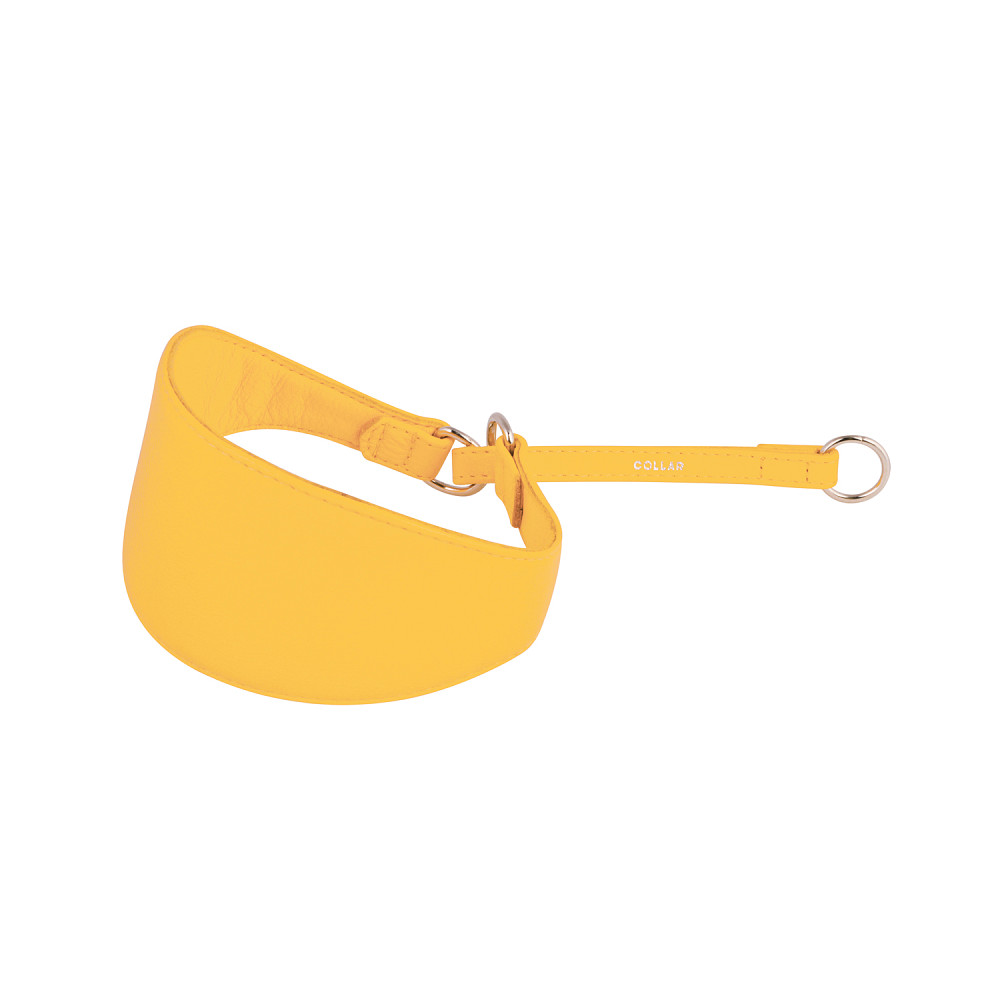 Нашийник-зашморг "CoLLaR GLAMOUR" для хортів без прикрас (ширина 75мм, довжина 38-47см) жовтий Коломыя - изображение 1
