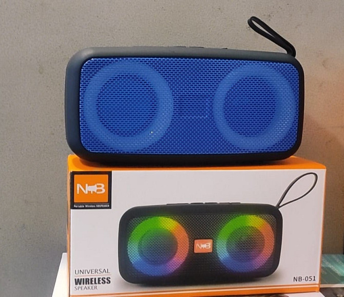 Музыкальная Портативная Колонка NB-051 : USB Type-C, USB-флешка, Bluetooth, карта памяти, 5W Киев - изображение 1