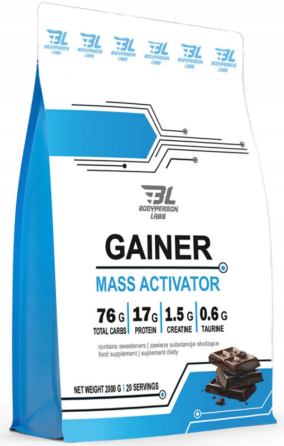 Гейнер Bodyperson Labs Gainer 2000 г зі смаком шоколаду Київ