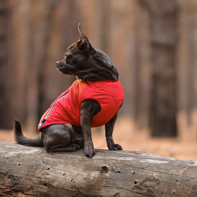 Жилет для тварин Pet Fashion "E.Vest" M червоний (4823082424474) Вінниця - фото 5