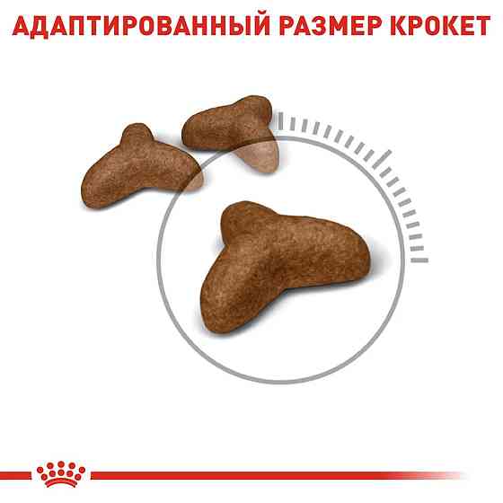 Royal Canin Light Weight Care (Рояв Канін Лайт Кейт Каа) корм для котів схильних до зайвої ваги від 12 місяців 1.5 кг. Запоріжжя