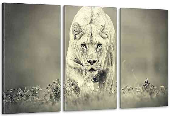 Модульная картина Природа Тигр (53x100см)  Аrt-207_3А 100x150 см Киев