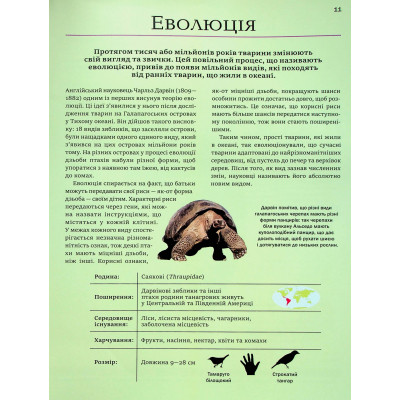 Книга Велика книга тварин - Клаудія Мартін Vivat (9786171704794) Винница - изображение 6