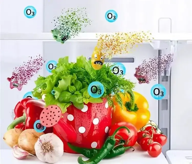 Озонатор с аккумулятором TRITON-10 Днепр - изображение 10