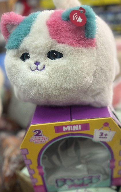 Інтерактивний котик/ Киев - изображение 3