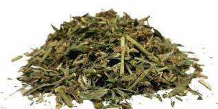 Спориш / Горец птичий, 100г. MasterSEM Киев - изображение 1