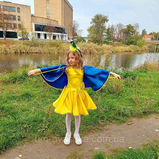Обруч синички Синичка Кривий Ріг