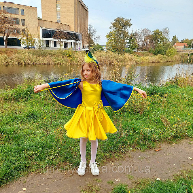 Обруч синички Синичка Кривий Ріг - фото 3