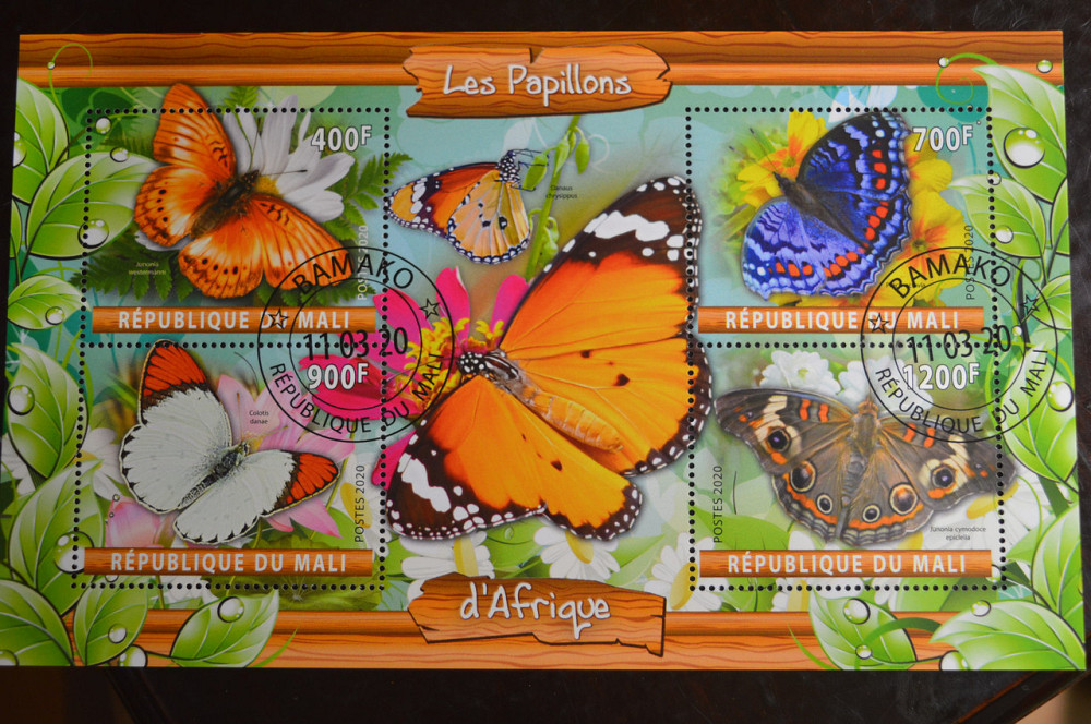 Мали. Марки. Фауна. Блок. 2020 год (В-2) Полтава - изображение 1