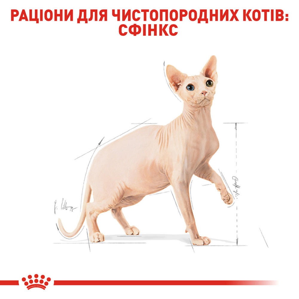 Корм для дорослих котів породи Сфінкс ROYAL CANIN SPHYNX ADULT 10.0 кг Київ - фото 3