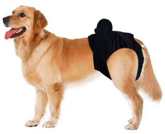 Підгузок для собак розмір L 13369 Луцк