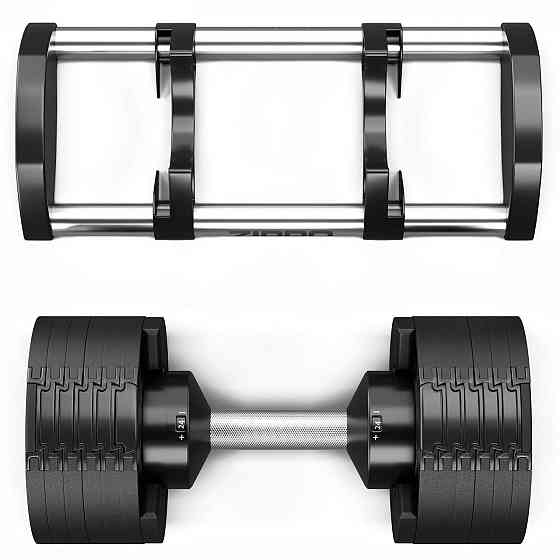 Гантель Zipro з регульованим навантаженням, кругла 24 кг Київ