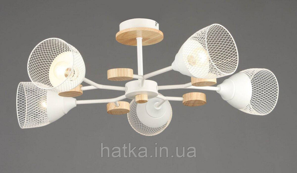 B N6779/5 WT+WOOD Киев - изображение 1