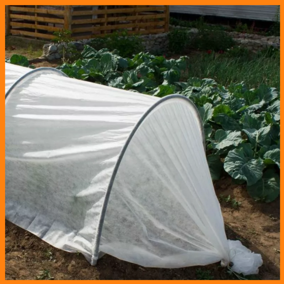 Парник 3 м 60 г/м2 складной для дачи из белого агроволокна Днепр