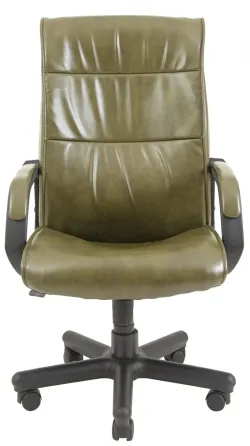 Офісне Крісло Керівника Richman Rio Fly 2235 Пластік Річ М2 AnyFix Зелений Київ