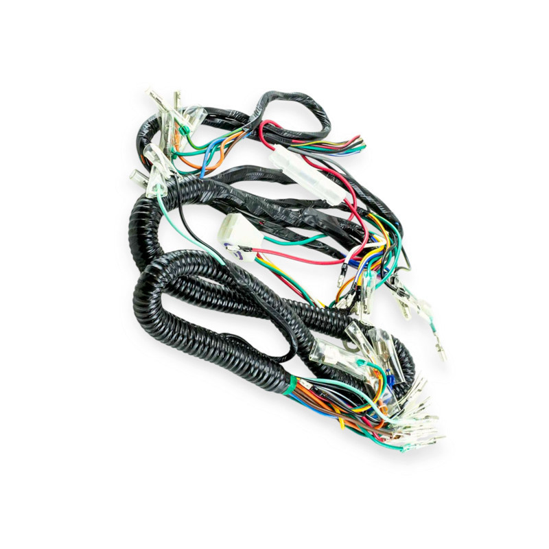 Проведення Актив Мукачево - фото 2