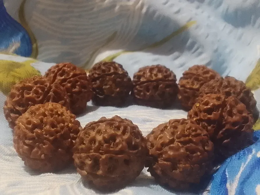 Рудракша восьмилика, семилика, велика. Китай Київ - фото 1