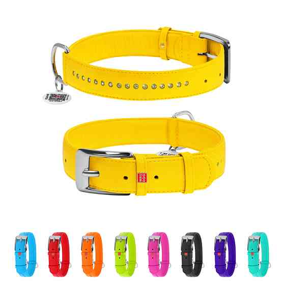 Нашийник для собак шкіряний WAUDOG Glamour з QR паспортом, подвійний зі стразами, Ш 35 мм, Дов Коломыя