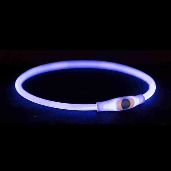 Ошейник Trixie Flash Light Ring USB для собак мигающий силиконовый синий размер S–M 40 см/8 мм Киев