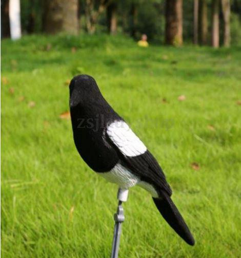 Сорока Київ - фото 1