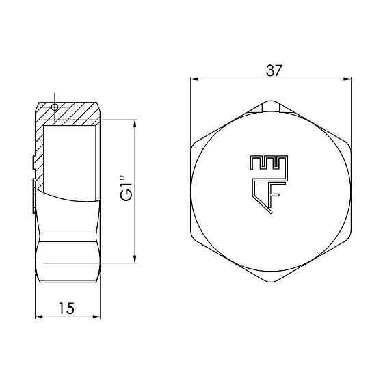 Заглушка Thermo Alliance Forte 1