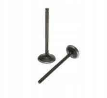 Клапани (пара, голі) Honda 4T SH 125/150 (29x79x5) (23x79x5) -2 Мукачево