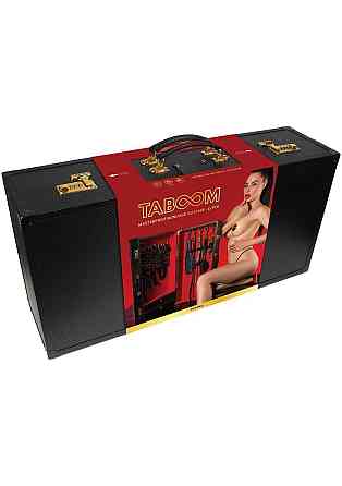 Шафа-валіза для БДСМ-аксесуарів TABOOM Desires Masterpiece Case, 11 предметів Sex Aura Київ