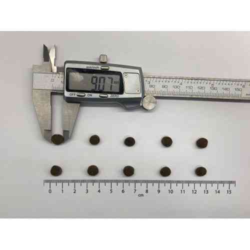 Корм сухий Carnilove True Fresh Cat Fresh Turkey для дорослих котів з індичкою 1,8 кг Київ