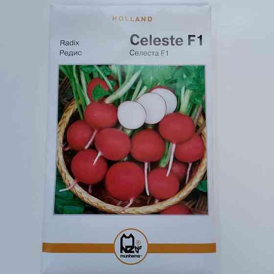Редис 