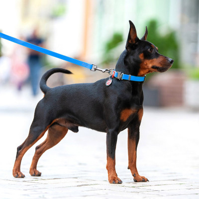 Поводок для собак WAUDOG Waterproof S Ш 15 мм Д 305 см голубой (27382) Винница - изображение 3