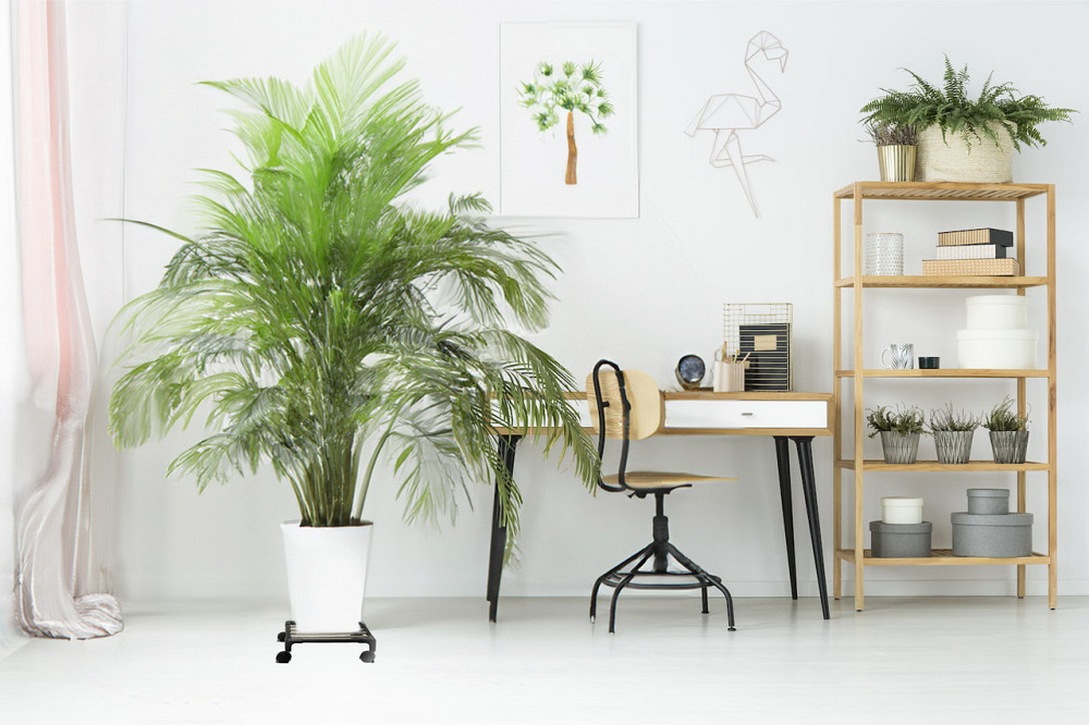 Мобільна  підставка для квітів на колесах Bibi, металева, під важки вазони. Бориспіль - фото 5