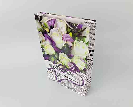 Большой бумажный пакет вертикальный  25/37/8(артBV-070) (12 шт) Харьков