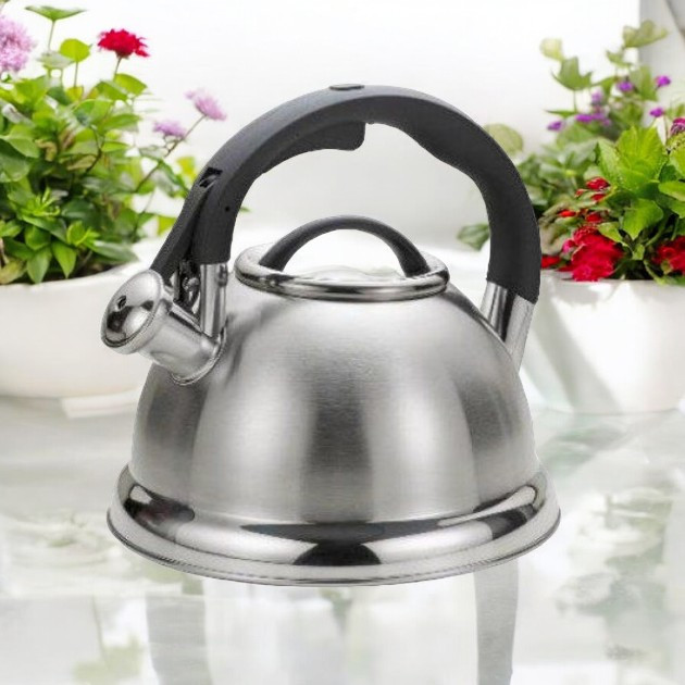 Стильный Чайник Со Свистком EB-1979 3.0 Лтр из нержавеющей стали, турбо-индукционное дно Одесса - изображение 4
