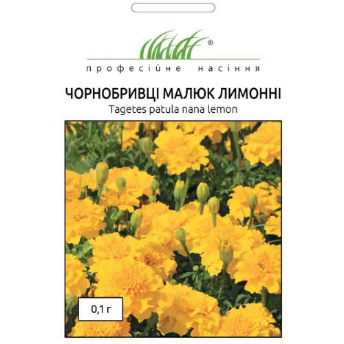 Чорнобривці Малюк розлогі лимонні 0,1гр Професійне насіння Житомир - фото 1