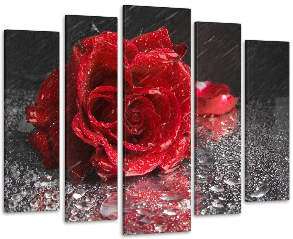Модульная картина Роза Дождь Art-83_5 Киев - изображение 1
