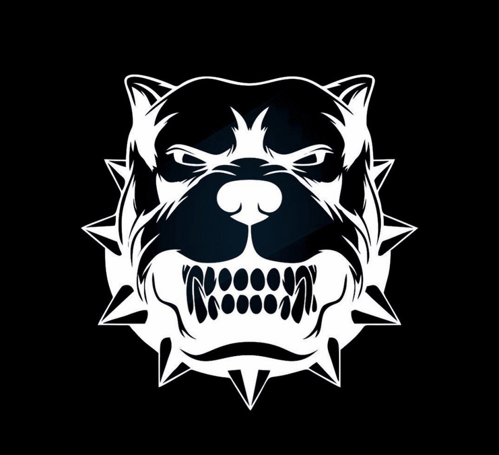 Виниловая наклейка на авто и любую поверхность в Любых размерах Черновцы - изображение 1