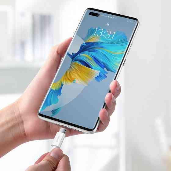 Кабель Baseus Superior Series Fast Charging Type-C PD 66W 2м белый Львов
