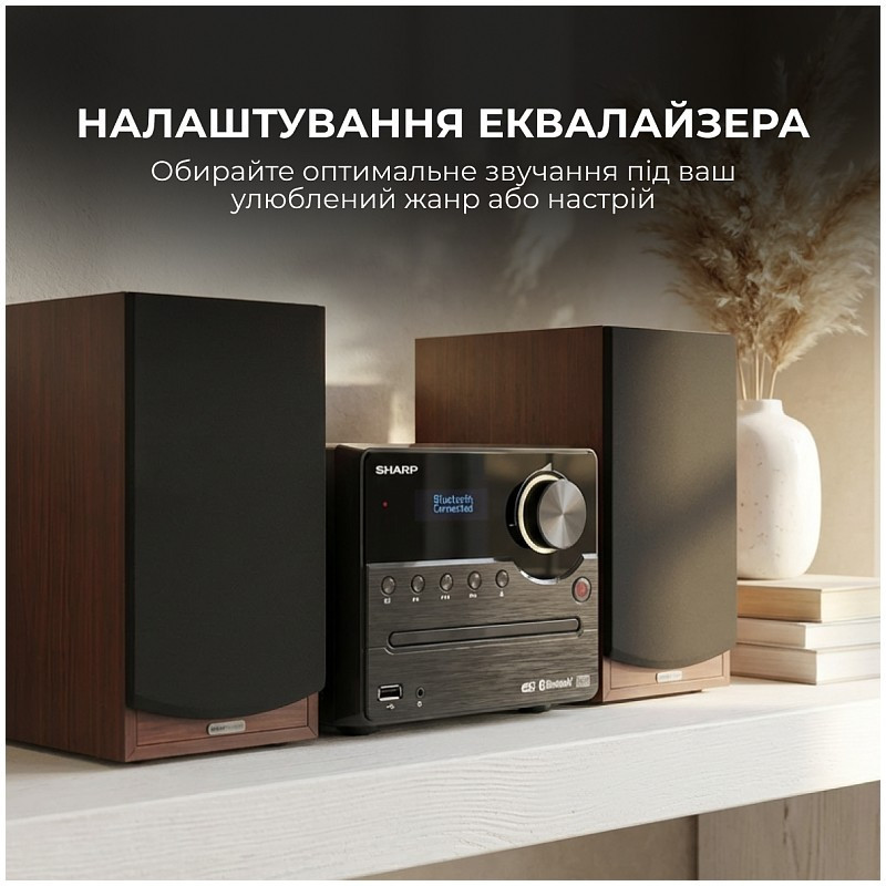 Мікросистема Sharp Micro Sound System Brown (XL-B517D(BR)) ( 18632 ) Харьков - изображение 6