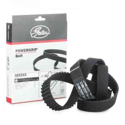 Ремень ГРМ Gates 5592XS Винница