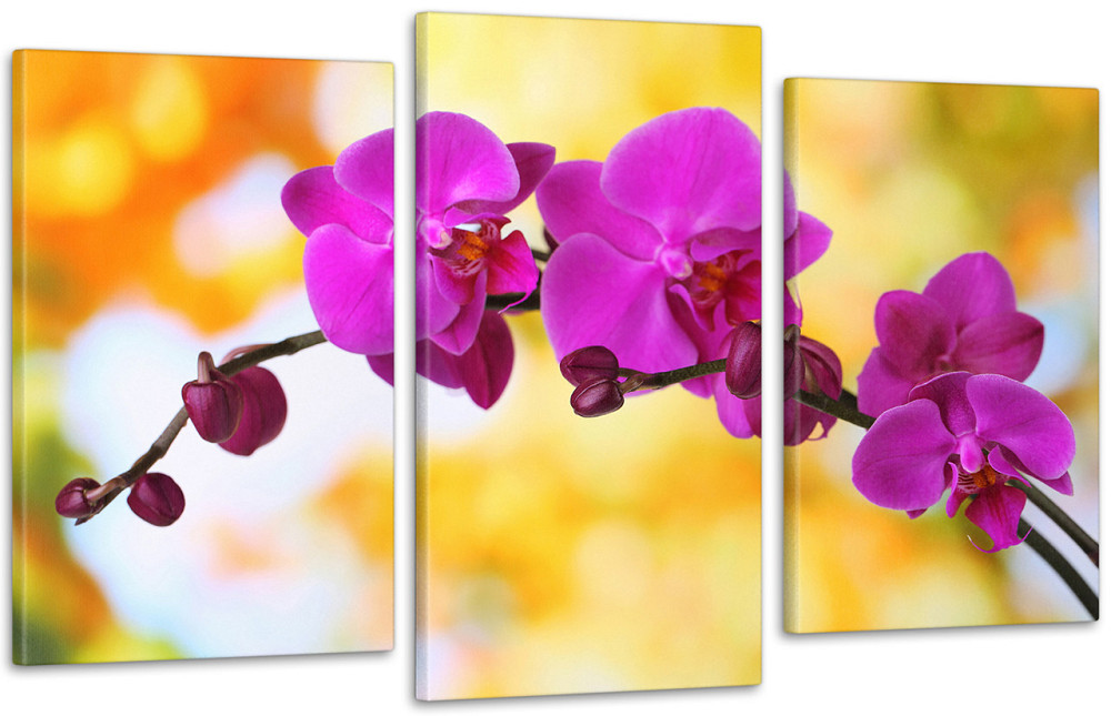 Модульна картина Коліри Орхідея Art-136_3 70x130 см Київ - фото 1