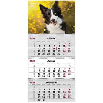 Календар Axent настінний квартальний 2026 р.,3 пружини Dogs 3 (8803-26-18-A) Вінниця